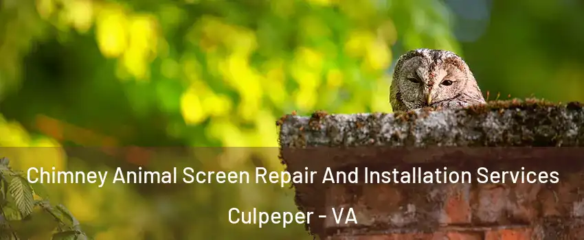  Chimney Animal Screen Repair And Installation Services Culpeper - VA