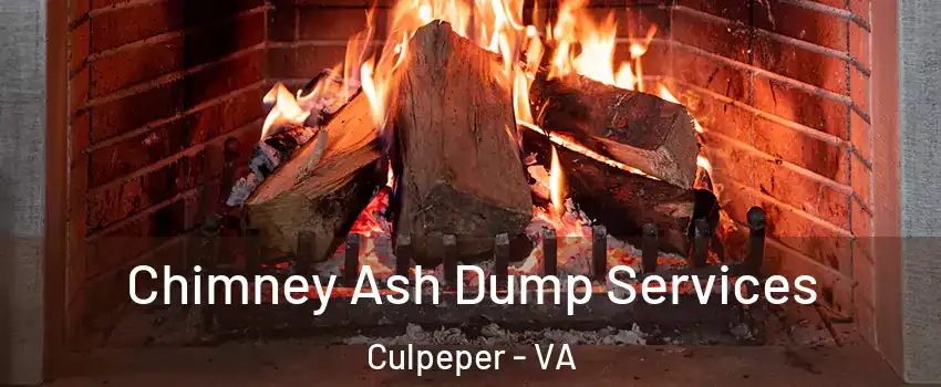  Chimney Ash Dump Services Culpeper - VA