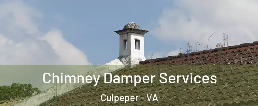Chimney Damper Services Culpeper - VA