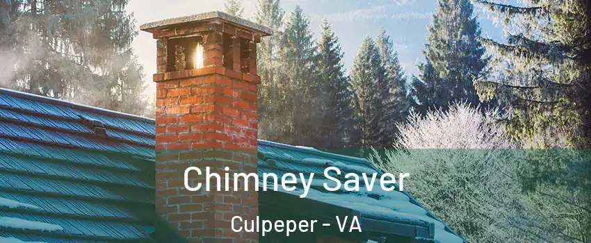  Chimney Saver Culpeper - VA