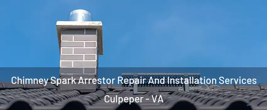  Chimney Spark Arrestor Repair And Installation Services Culpeper - VA