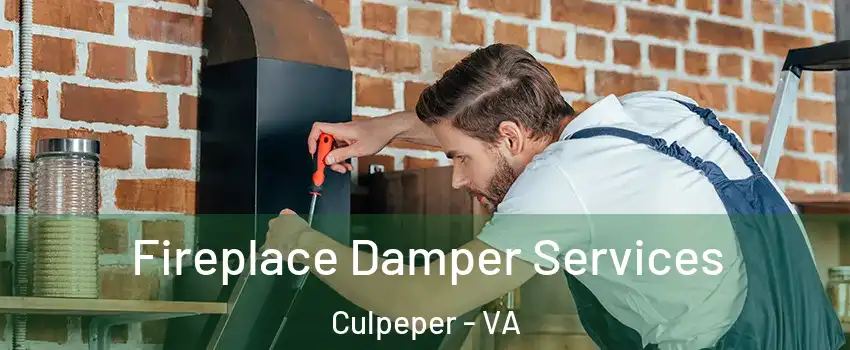  Fireplace Damper Services Culpeper - VA
