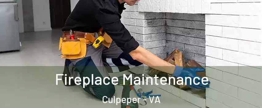  Fireplace Maintenance Culpeper - VA