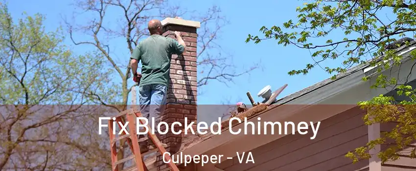  Fix Blocked Chimney Culpeper - VA