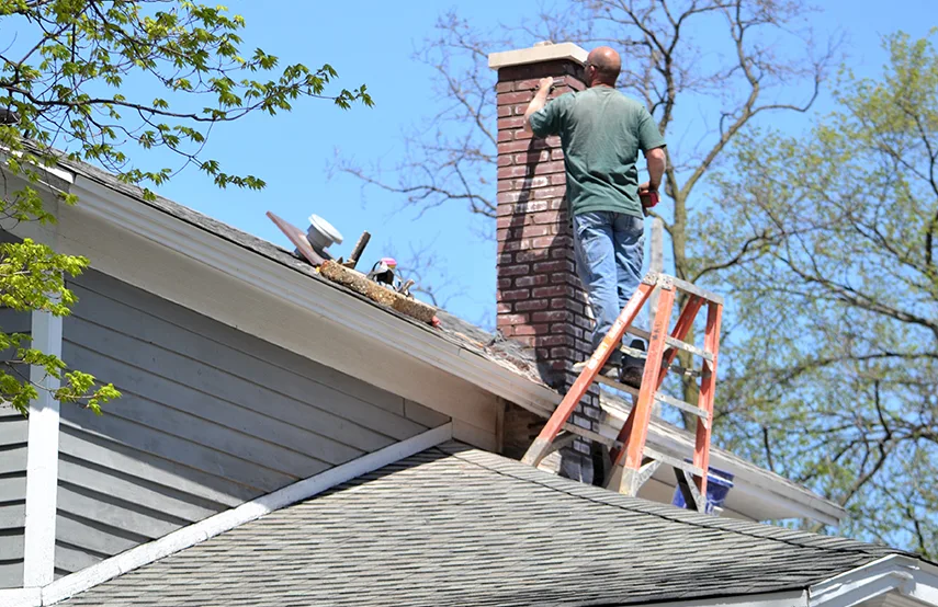 Chimney & Fireplace Inspections Services in Culpeper, VA