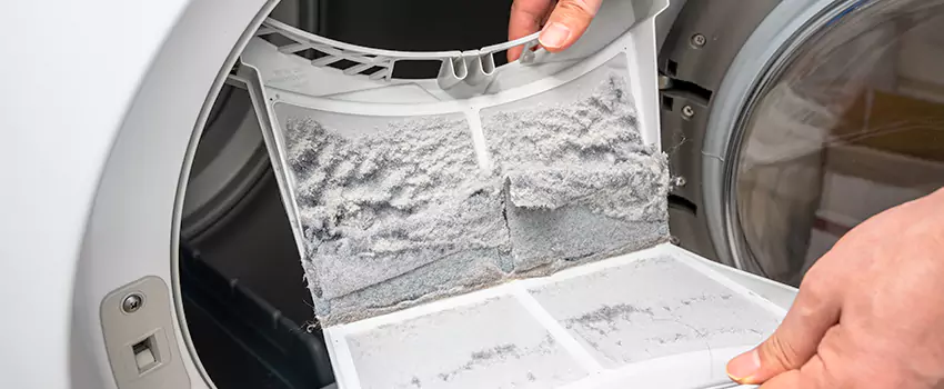 Best Dryer Lint Removal Company in Culpeper, Virginia