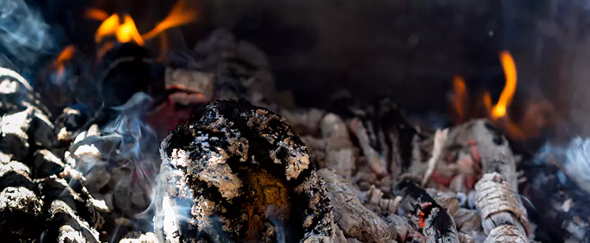 Creosote Removal Experts in Culpeper, VA