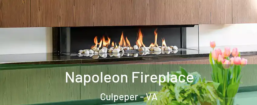  Napoleon Fireplace Culpeper - VA